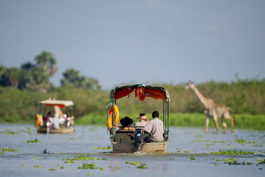 unset Boat safari in Rufiji river Nyerere national park (Selous )