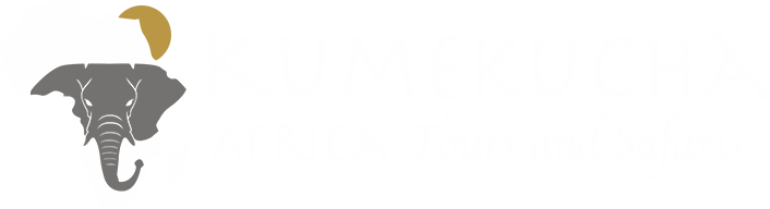 Kumekucha Africa Tours and Safaris