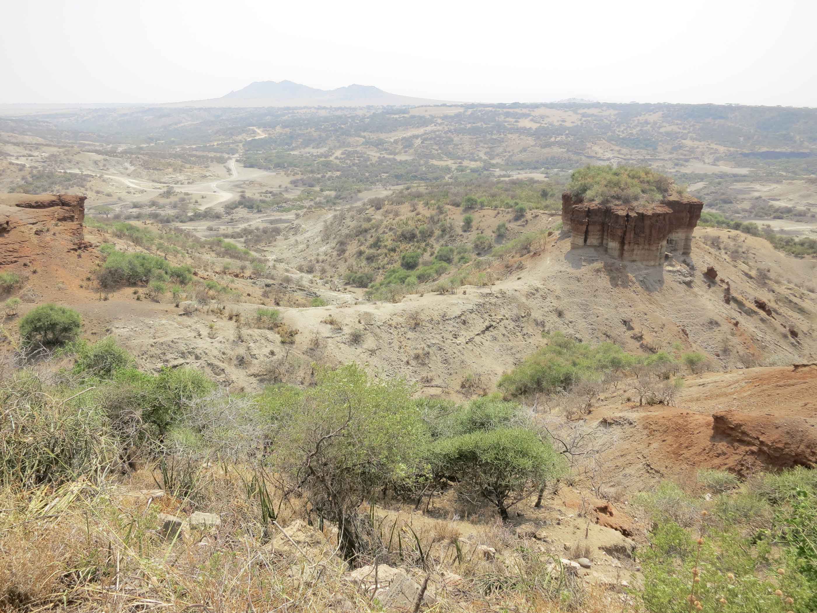 Olduvai Gorge