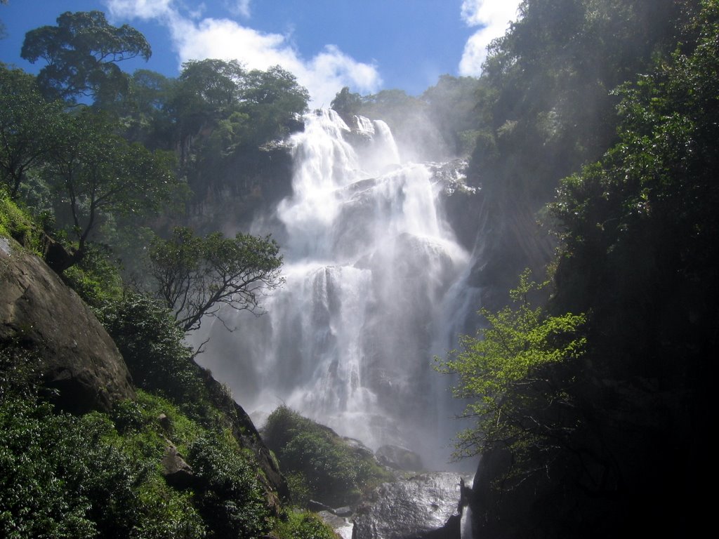 Udzungwa Mountains National Park